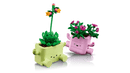 Botanicals