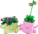Botanicals